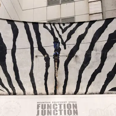 Zebra Pattern Wall Mural