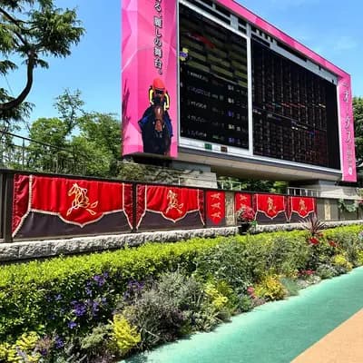 Tokyo Horse racing Course