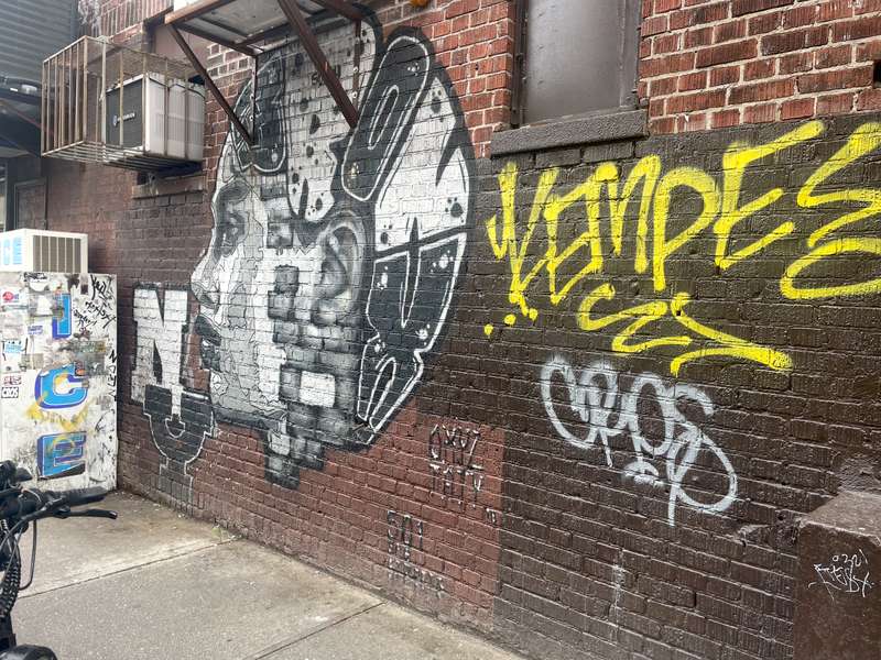 The Bronx woman brain