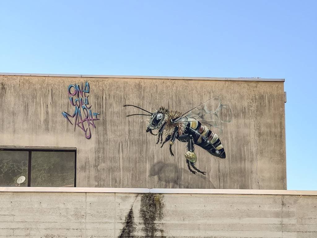 Street art in Arcugnano