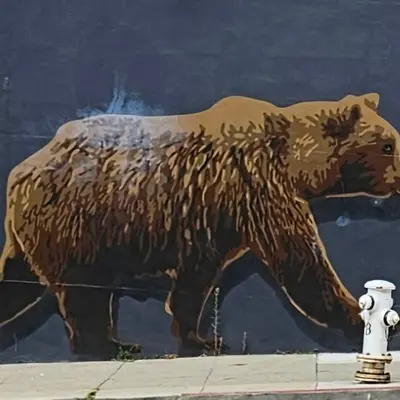 California Bear