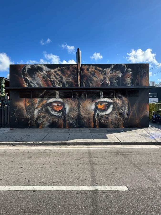 Art by Daniel Mac Lloyd