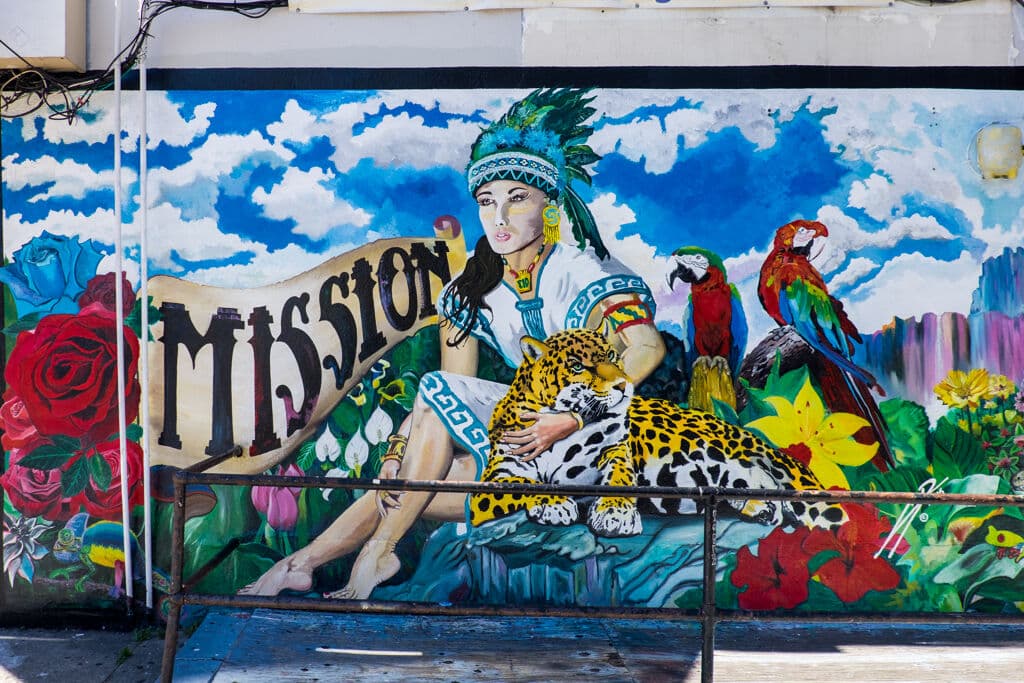 "Leopard of the Mission" in Mission, San Francisco