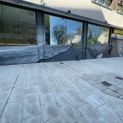 Fighting for whales and natural wild life