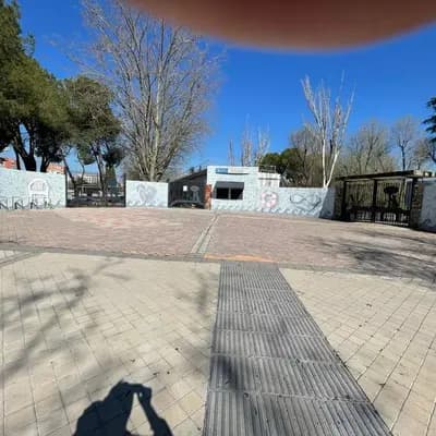 neighborhood summers