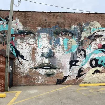 Layered Portrait with Flowing Elements