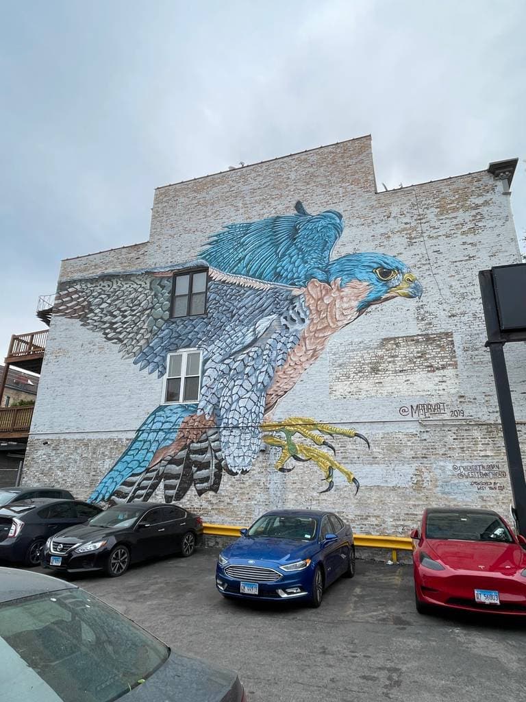 "Falcon" by Justin Suarez (Aerosol Kingdom) in East Village, Chicago