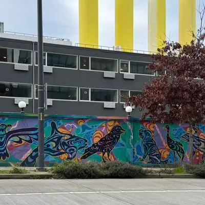 Indigenous Marine Life Mural