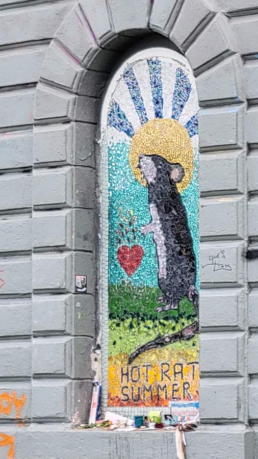 "Hot Rat Summer" in First Hill, Seattle