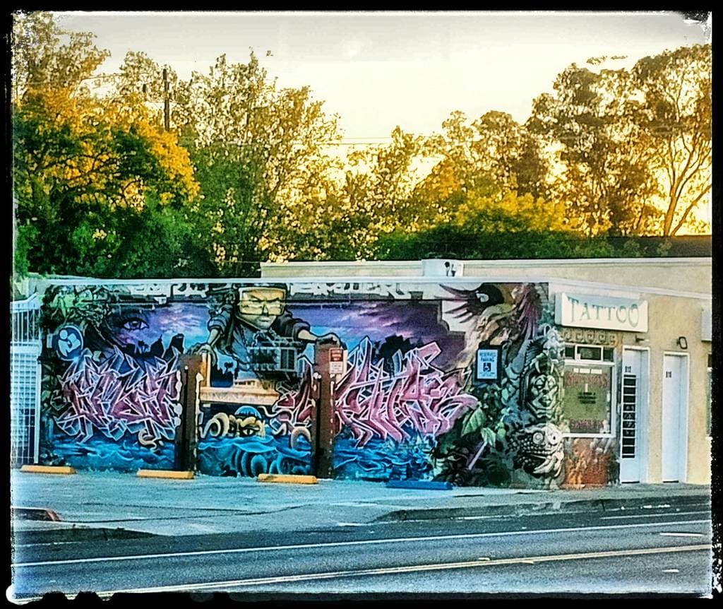"Mixed Media Street Mural" in Sacramento
