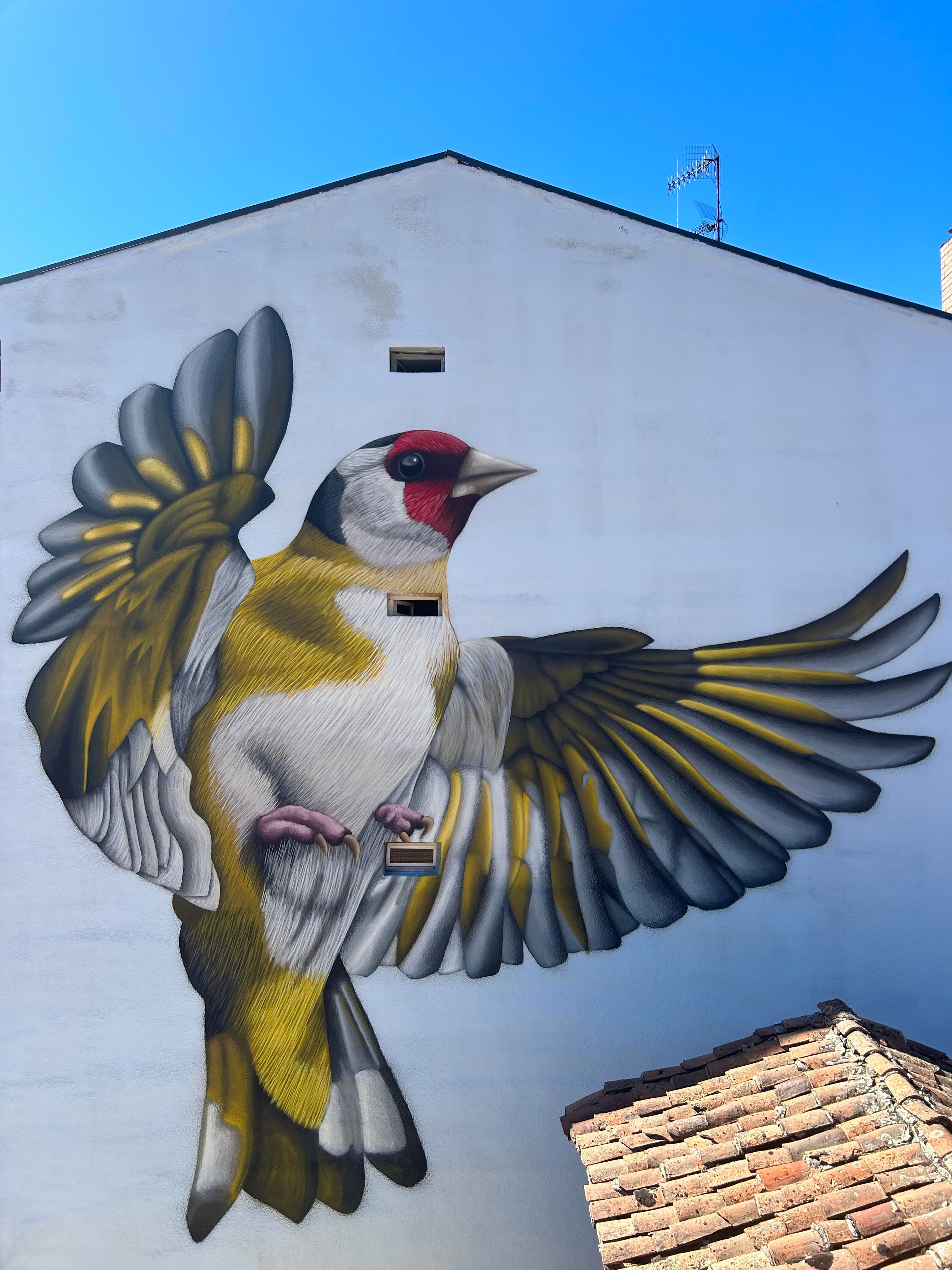 Street art in Guardo