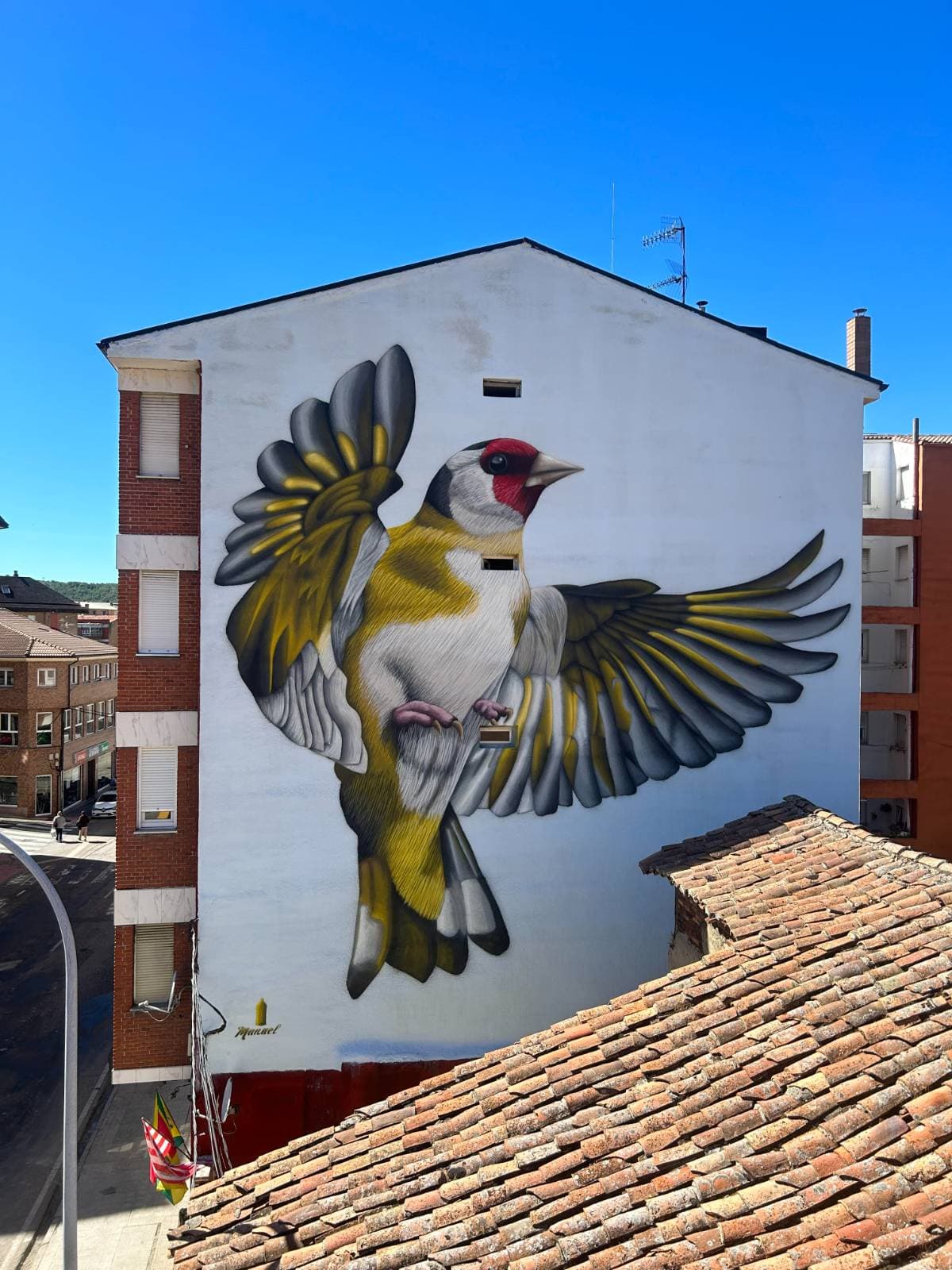 "Jilguero El Chollo" by Manuel Garcia Juan in Guardo photo 2 of 3