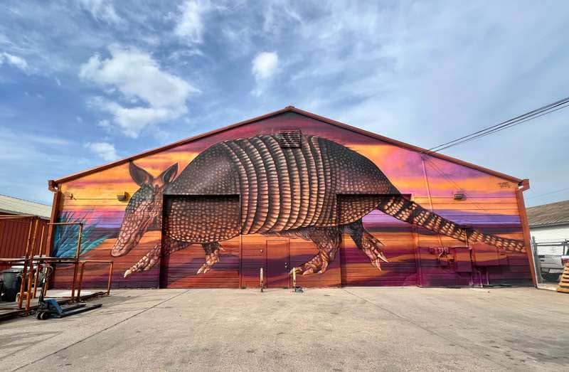 "Willow the Dillo" by Taylord in Austin