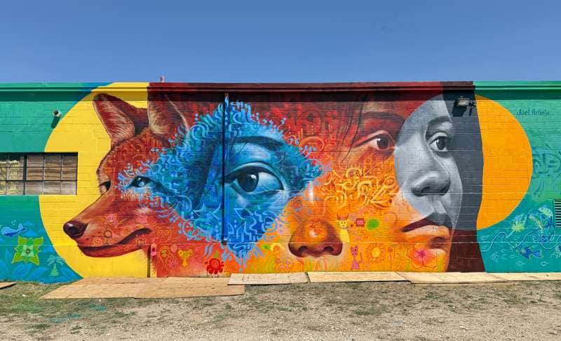 ""Interwoven"" by Joel Artista in Austin