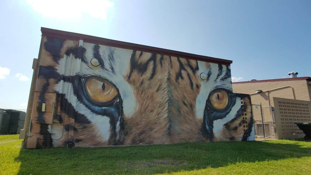 "TSU Tiger" by Anat Ronen in Houston