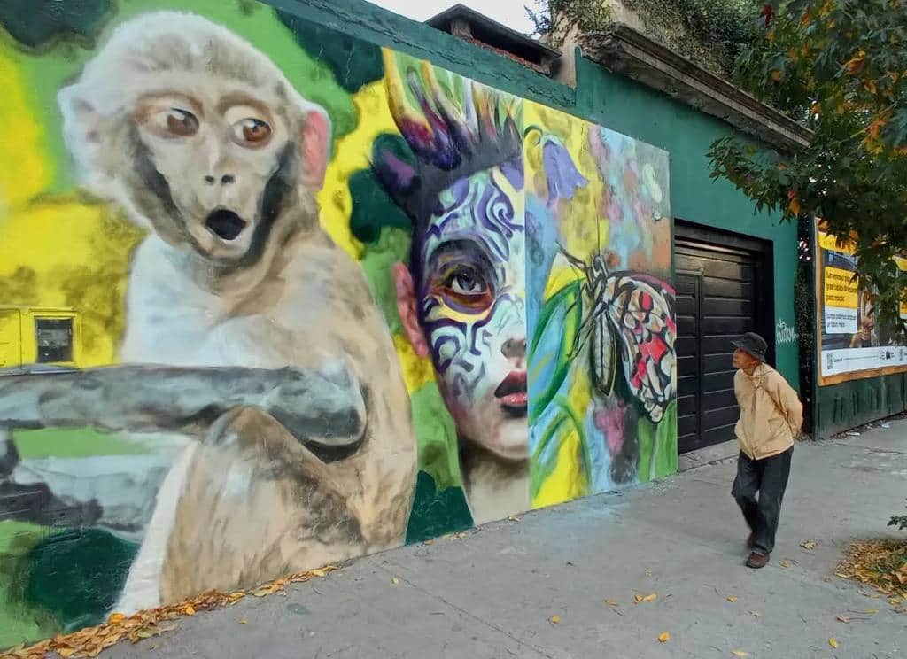 "latent life" by Indigo Ars in Buenos Aires