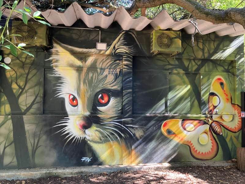 "Cat with Mystical Butterfly" in Lisbon
