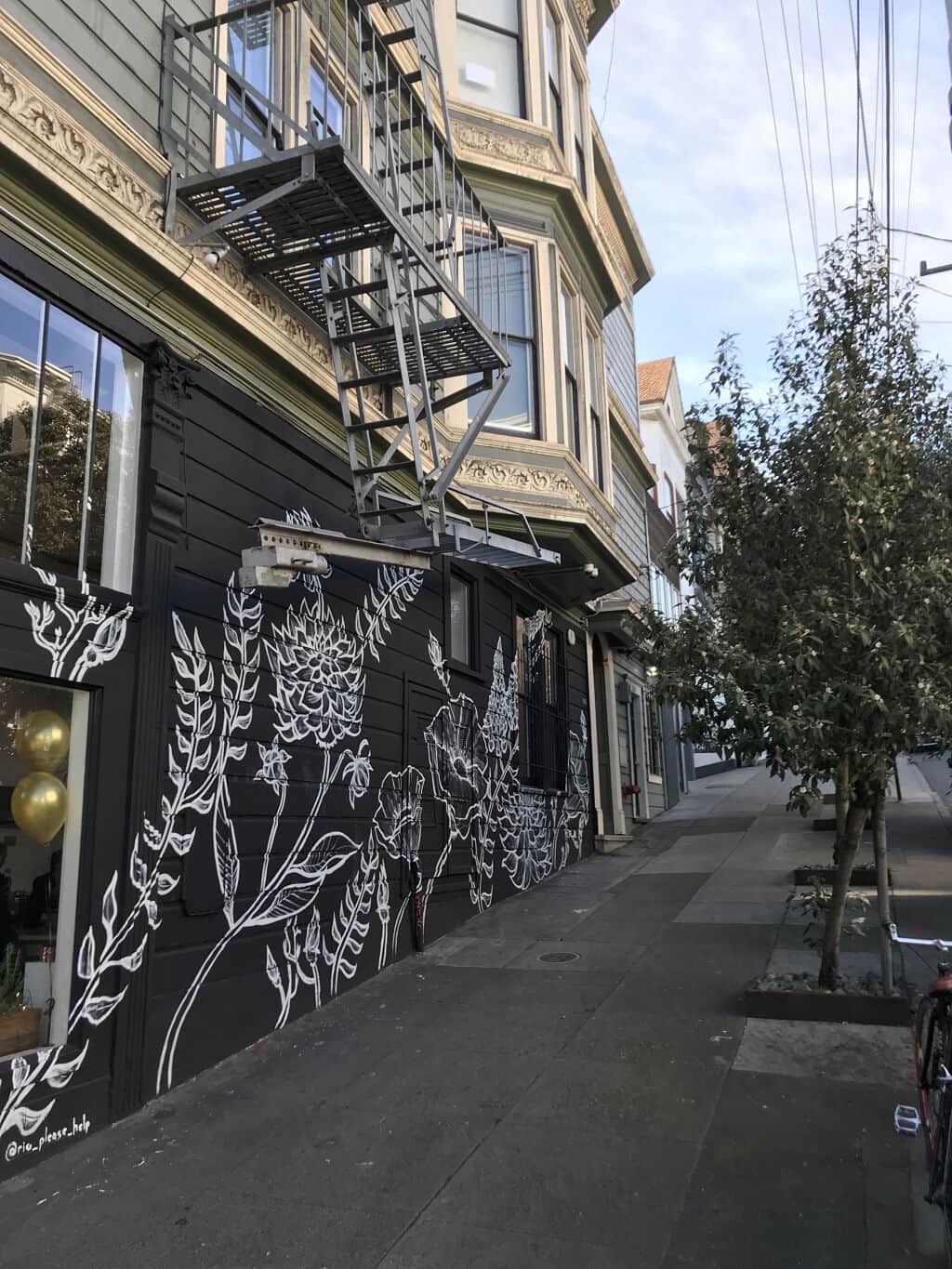 "Plant-based Bakery" by Serena Rio in San Francisco