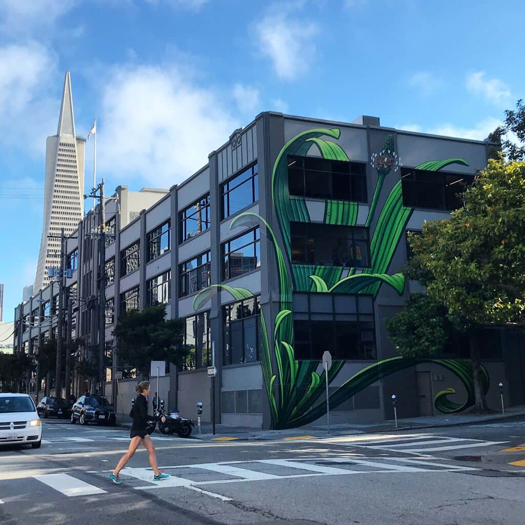 "Plantago Lanceolata" by Mona Caron in San Francisco