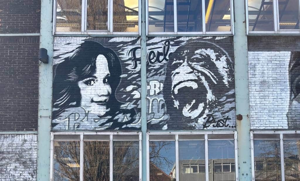 "Dual Portrait Street Art" by Bustart in Amsterdam