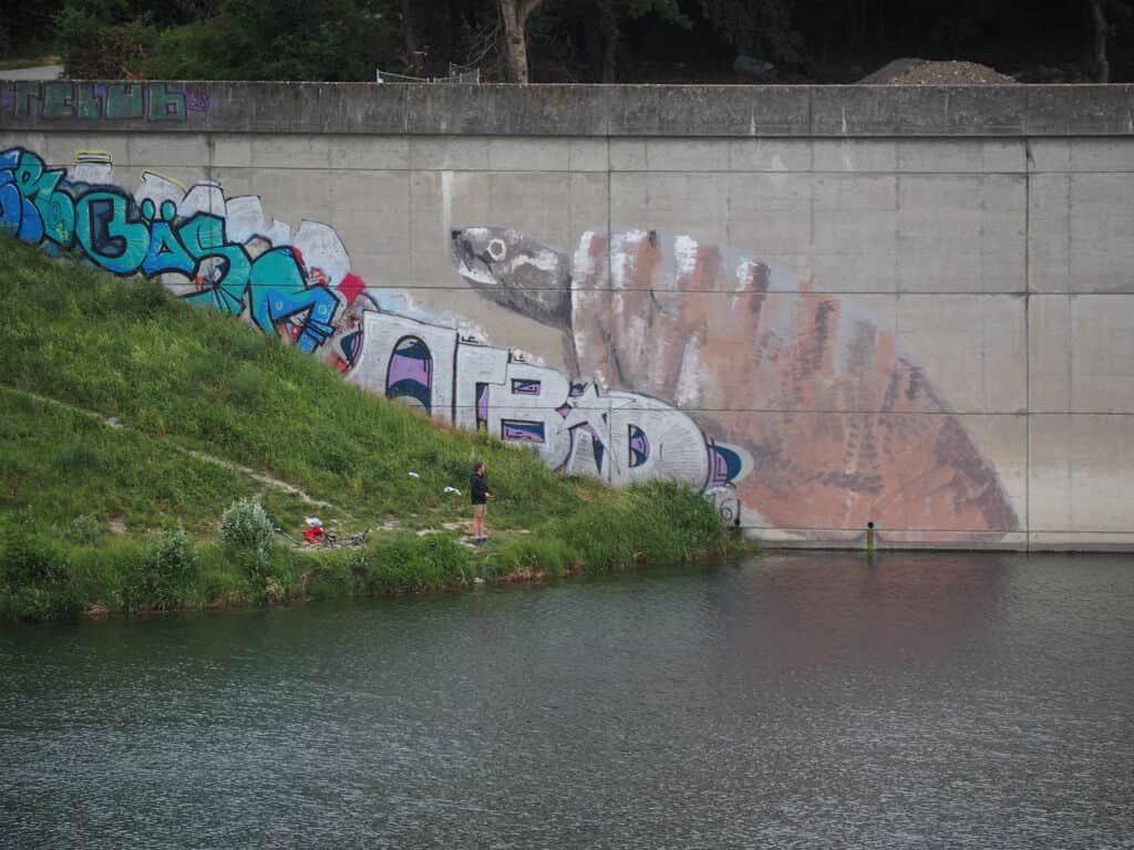 "Raccoon and Graffiti Mural" in Vienna