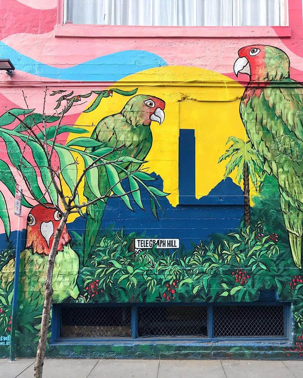 "Telegraph Hill Parrots" in San Francisco