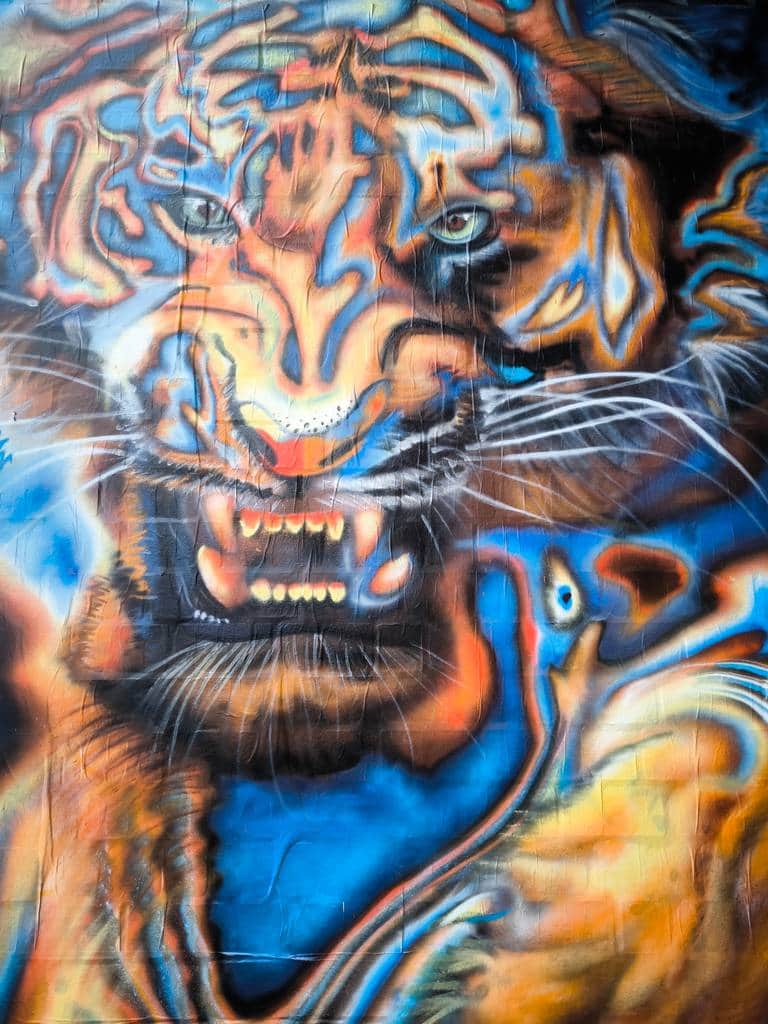"Fierce Tiger Head Street Art" by Snyder in Berlin
