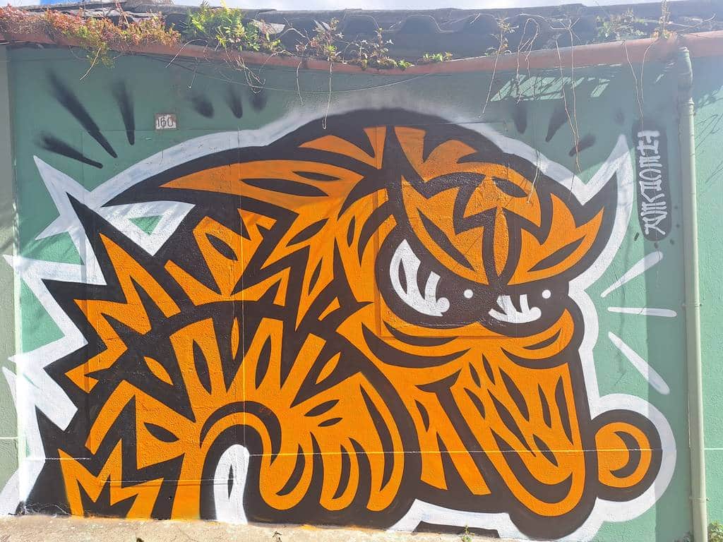 "Stylized Orange Tiger Head" by The Caver in Porto