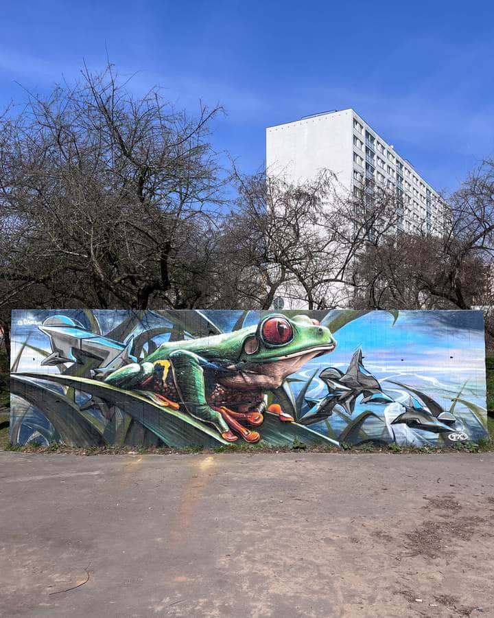 "Green Tree Frog in Flight" by Caer8th in Prague