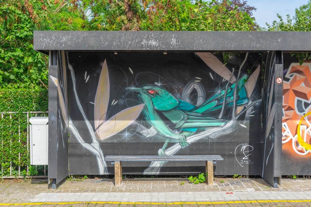 "Turquoise Hummingbird in Flight" by Cimon in Brussels