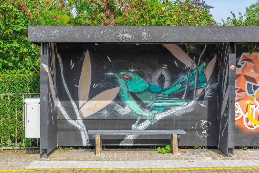 "Turquoise Hummingbird in Flight" by Cimon in Brussels