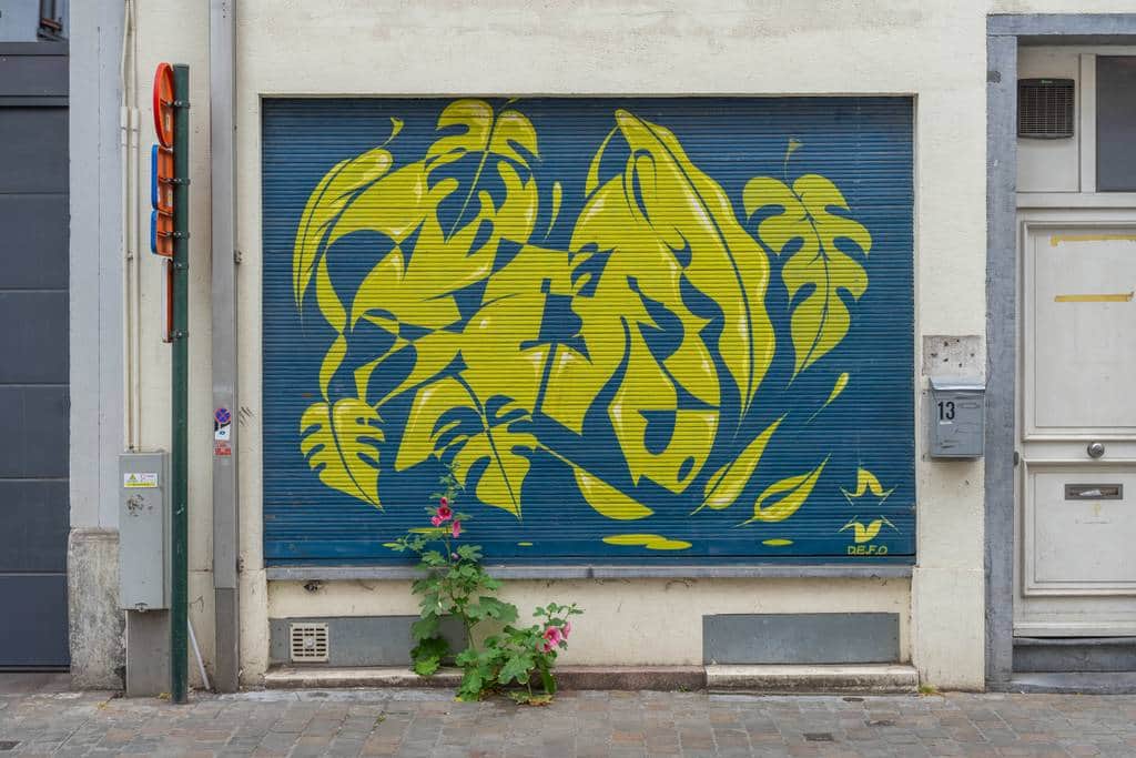 "Yellow Leaves Against Blue Shutter" by Defo in Brussels