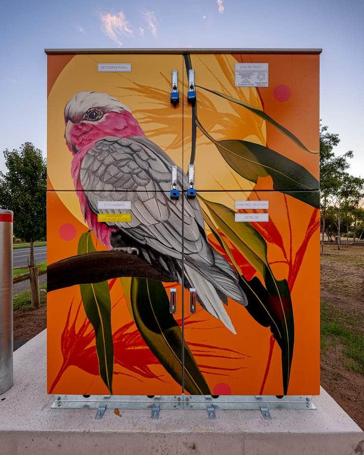 "Galahs" by Melanie Caple in Melbourne