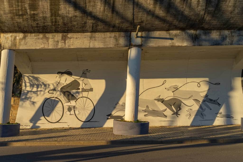"Cyclist and Dancing Dogs" by Maria Neves in Porto