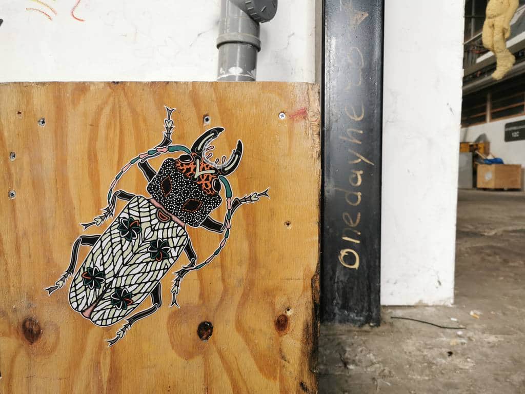 "Ornate Beetle with Patterned Wings" by Pol Cosmo in Amsterdam
