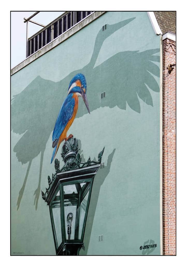 "Kingfisher" by Joostvijfb in Amsterdam