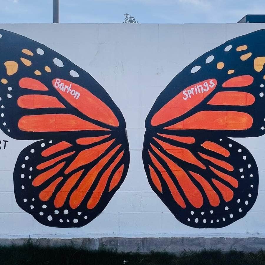 "Barton Springs (butterfly)" by Pey Stroup in Austin