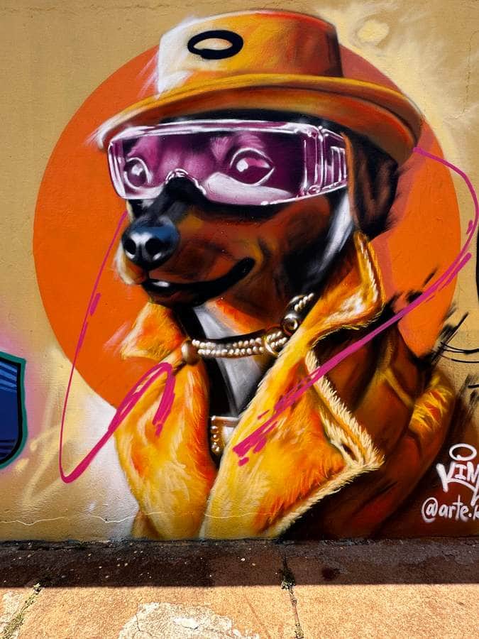 "Doguinho" by Kim Ferreira in Sao Paulo
