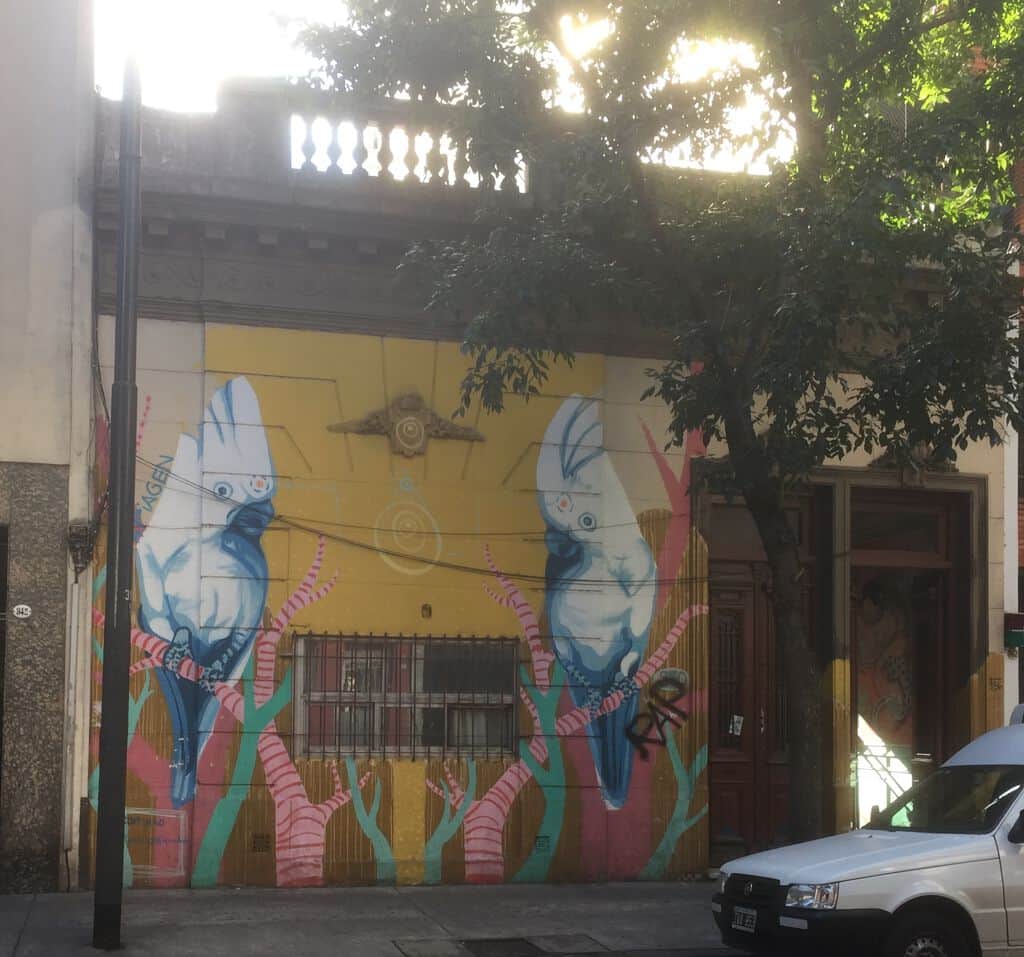"cockatoo cockpit" in Buenosaires