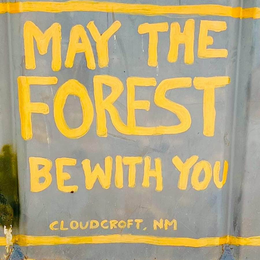 "May the Forest Be With You" in Austin