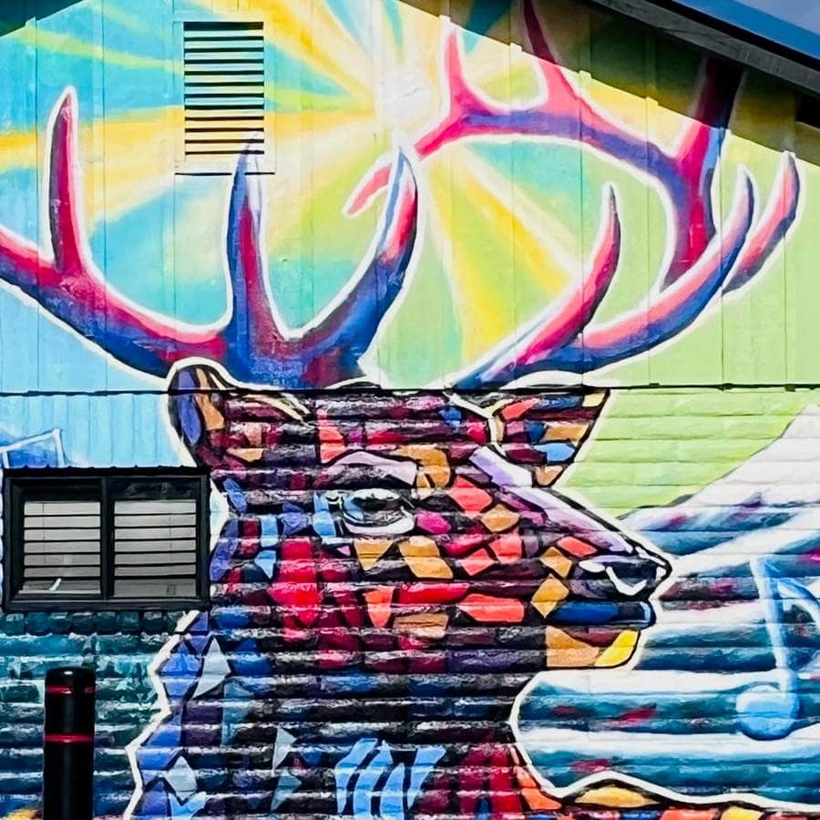 "Colorful Stag with Antlers" by Samantha Odom in Austin