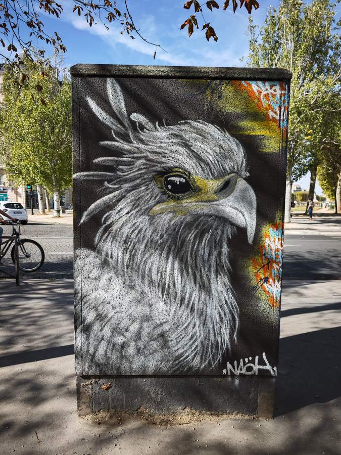 "Majestic Eagle Portrait" by Naoh in Paris 15e Arrondissement, Paris