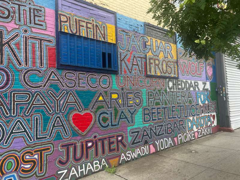 "feline species" in The Bronx, New York