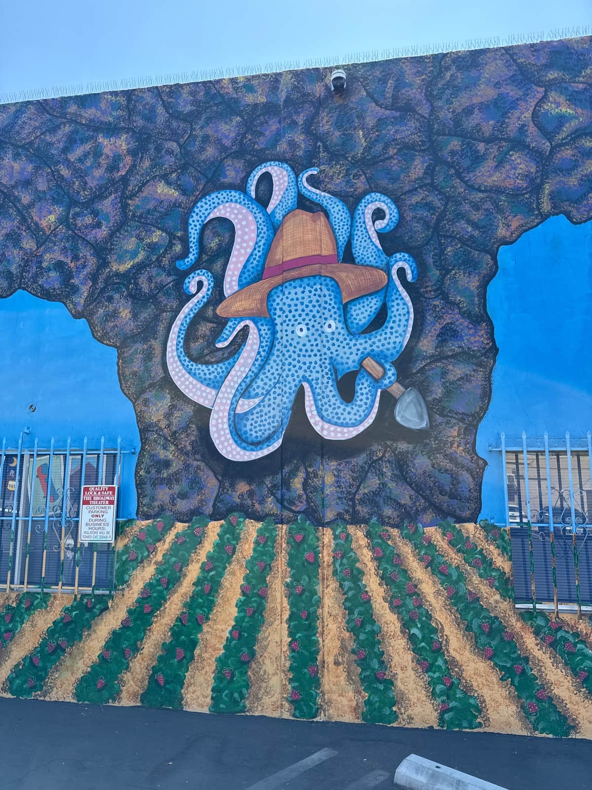 "Whimsical Octopus Mural with Hat" in Vista