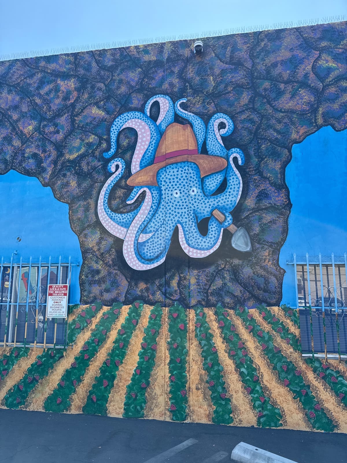 "Whimsical Octopus Mural with Hat" in Vista