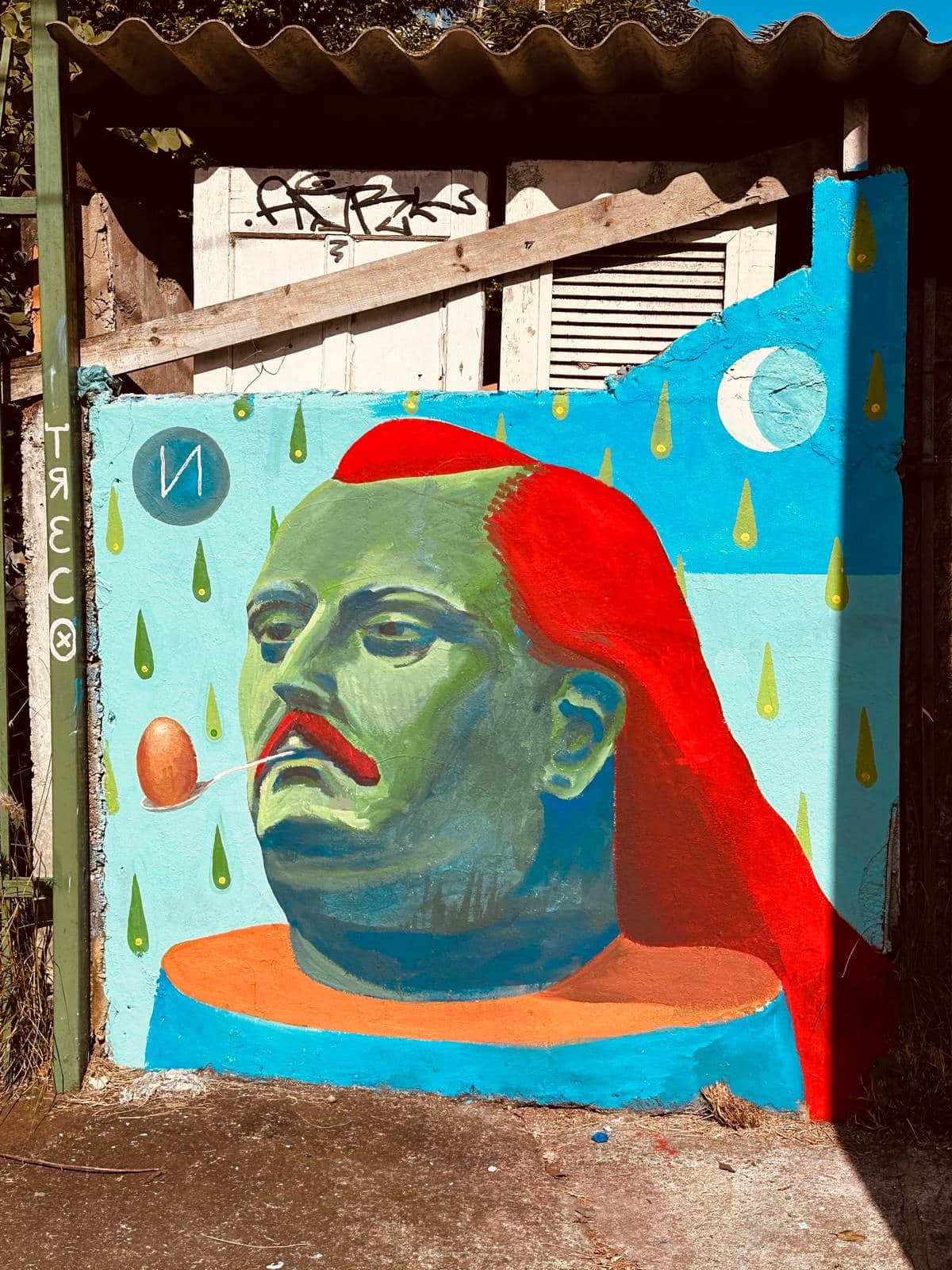 "Vibrant Surrealist Face" by Deco Treco in Sao Paulo